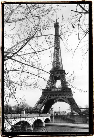 Eiffel Tower Along The Seine River White Modern Wood Framed Art Print with Double Matting by DeNardo, Laura