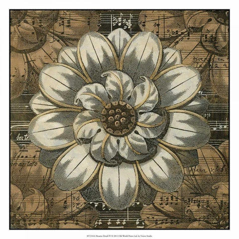Rosette Detail IV White Modern Wood Framed Art Print with Double Matting by Vision Studio