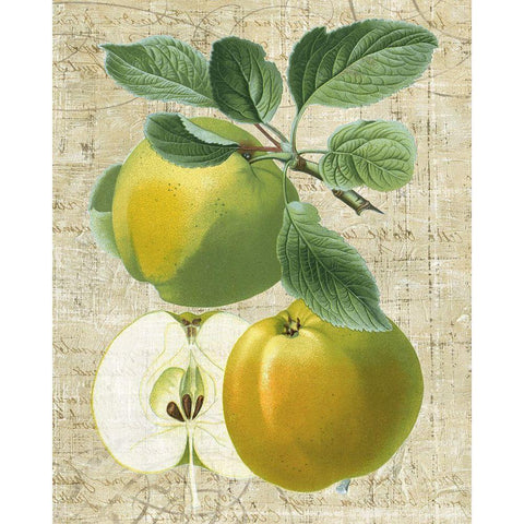 Orchard Medley I Gold Ornate Wood Framed Art Print with Double Matting by Vision Studio