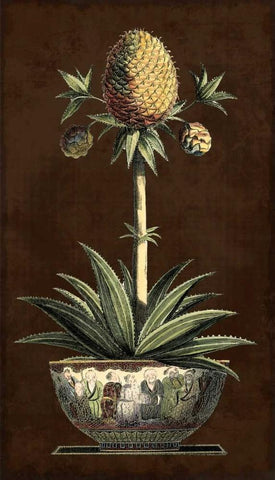 Potted Pineapple I Black Ornate Wood Framed Art Print with Double Matting by Vision Studio