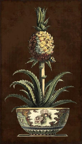 Potted Pineapple II Black Ornate Wood Framed Art Print with Double Matting by Vision Studio