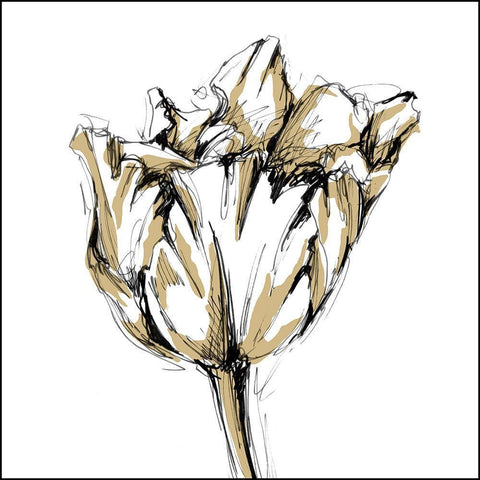 Tulip Sketch I White Modern Wood Framed Art Print with Double Matting by Harper, Ethan