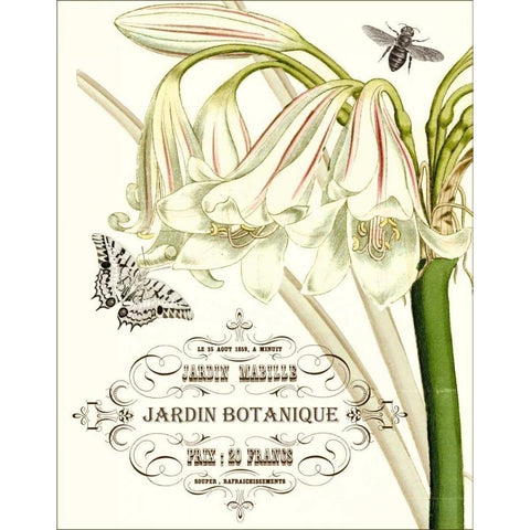 Jardin Botanique I Black Modern Wood Framed Art Print with Double Matting by Vision Studio