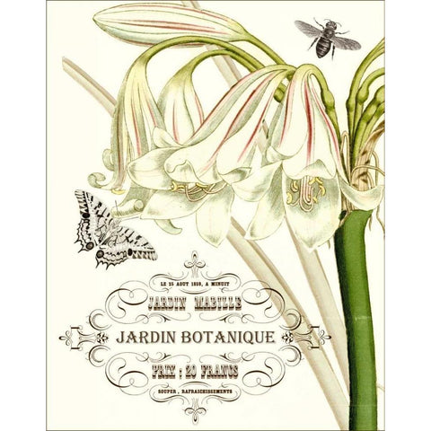 Jardin Botanique I Gold Ornate Wood Framed Art Print with Double Matting by Vision Studio