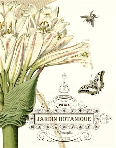 Jardin Botanique II Black Ornate Wood Framed Art Print with Double Matting by Vision Studio