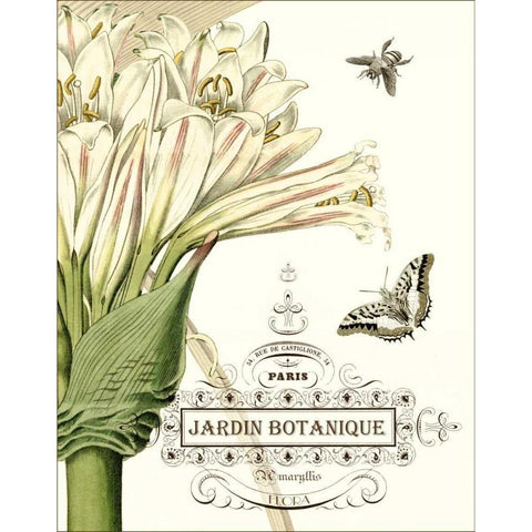 Jardin Botanique II White Modern Wood Framed Art Print by Vision Studio