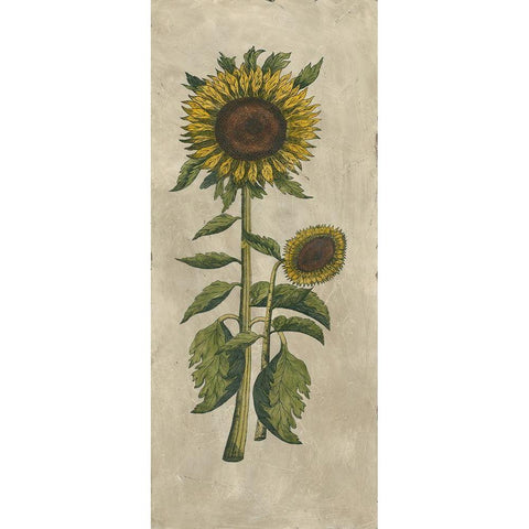 Sunflower Fresco I White Modern Wood Framed Art Print by Vision Studio