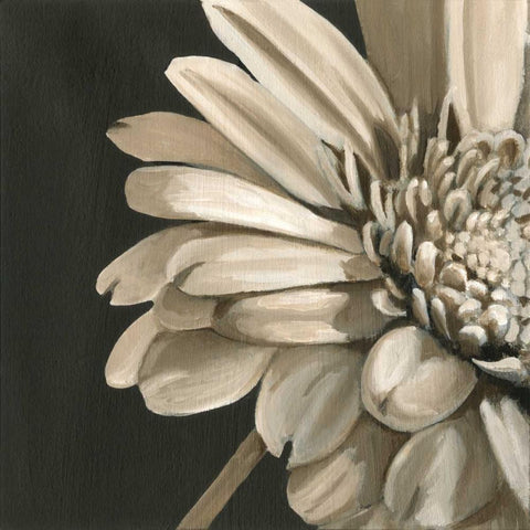 Classical Blooms IV Black Modern Wood Framed Art Print by Harper, Ethan