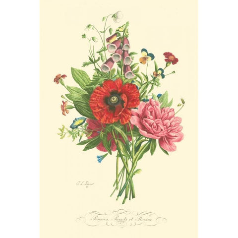 Plentiful Bouquet II Black Modern Wood Framed Art Print with Double Matting by Prevost, T.L.