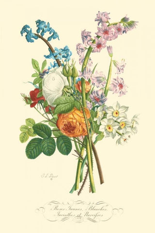 Plentiful Bouquet IV Black Ornate Wood Framed Art Print with Double Matting by Prevost, T.L.