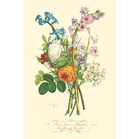 Plentiful Bouquet IV Black Modern Wood Framed Art Print by Prevost, T.L.