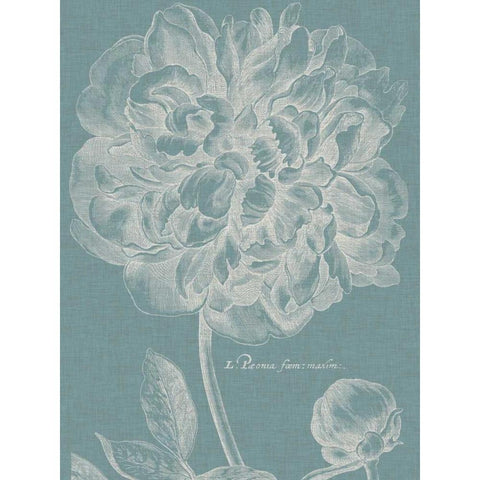 Graceful Peony I Gold Ornate Wood Framed Art Print with Double Matting by Vision Studio