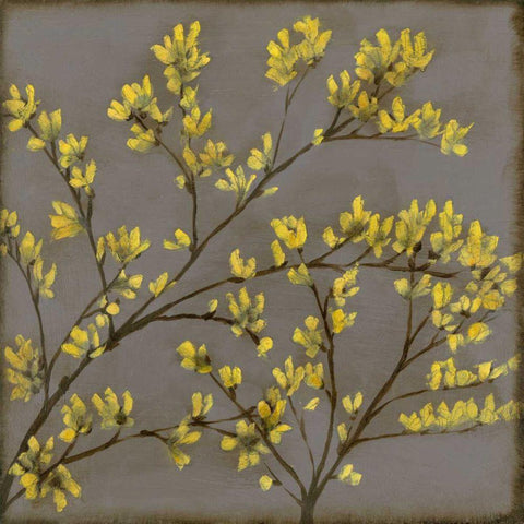 Forsythia I Black Ornate Wood Framed Art Print with Double Matting by Goldberger, Jennifer