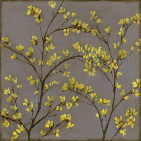 Forsythia II White Modern Wood Framed Art Print with Double Matting by Goldberger, Jennifer