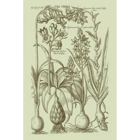 Garden of Flora I Gold Ornate Wood Framed Art Print with Double Matting by Vision Studio