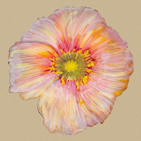 Poppy Blossom I Black Modern Wood Framed Art Print with Double Matting by Ludwig, Alicia