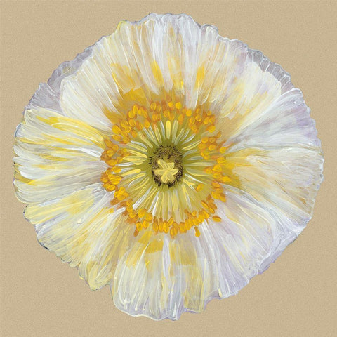Poppy Blossom II White Modern Wood Framed Art Print with Double Matting by Ludwig, Alicia