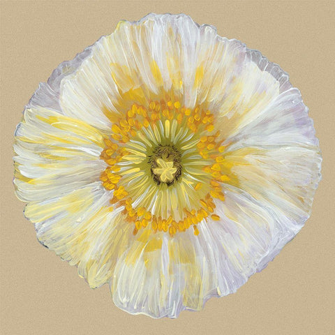 Poppy Blossom II White Modern Wood Framed Art Print by Ludwig, Alicia