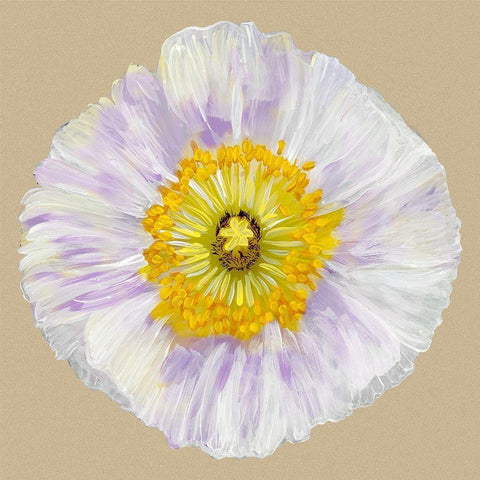 Poppy Blossom IV Black Modern Wood Framed Art Print with Double Matting by Ludwig, Alicia