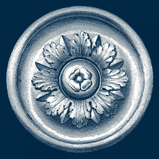 Image Only