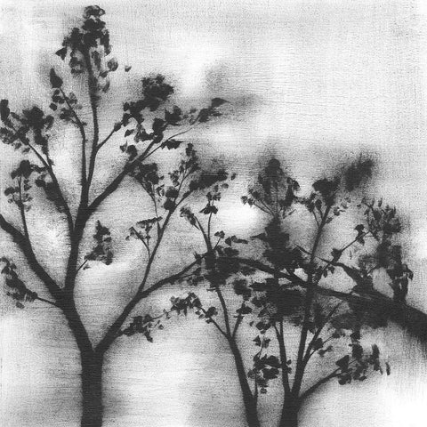 Silvery Trees I Black Modern Wood Framed Art Print with Double Matting by Goldberger, Jennifer