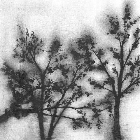 Silvery Trees II Black Modern Wood Framed Art Print by Goldberger, Jennifer