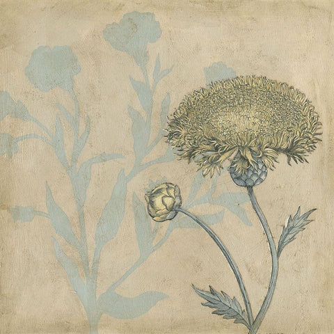 Shadow Floral II Gold Ornate Wood Framed Art Print with Double Matting by Meagher, Megan