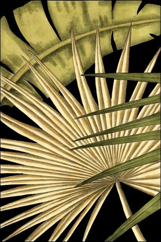 Rustic Tropical Leaves I White Modern Wood Framed Art Print with Double Matting by Harper, Ethan