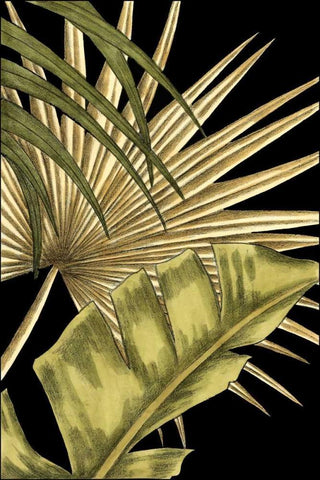 Rustic Tropical Leaves II White Modern Wood Framed Art Print with Double Matting by Harper, Ethan