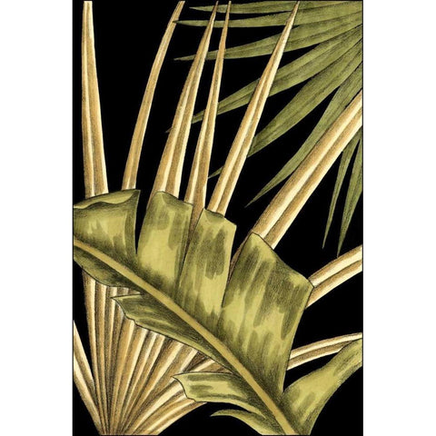 Rustic Tropical Leaves III Black Modern Wood Framed Art Print with Double Matting by Harper, Ethan