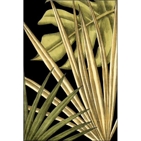 Rustic Tropical Leaves IV Black Modern Wood Framed Art Print with Double Matting by Harper, Ethan