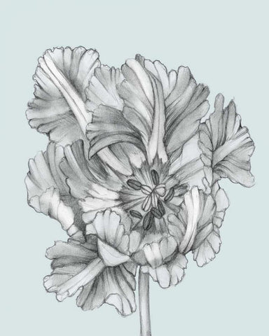 Silvery Blue Tulips I White Modern Wood Framed Art Print with Double Matting by Goldberger, Jennifer