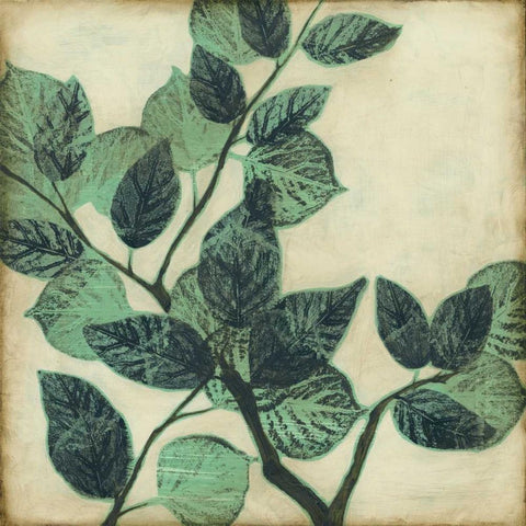 Graphic Leaves II Black Ornate Wood Framed Art Print with Double Matting by Goldberger, Jennifer