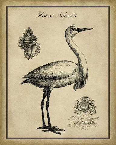 Antiquarian Egret White Modern Wood Framed Art Print with Double Matting by Vision Studio