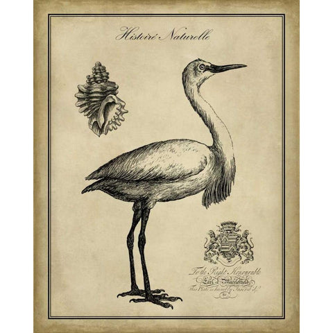 Antiquarian Egret White Modern Wood Framed Art Print by Vision Studio