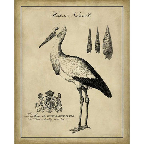 Antiquarian Stork Gold Ornate Wood Framed Art Print with Double Matting by Vision Studio