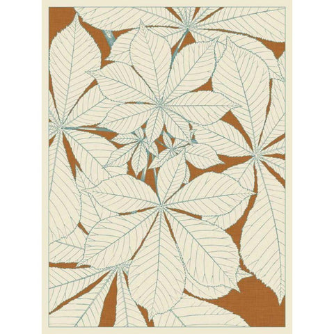 Leaves from Nature I Black Modern Wood Framed Art Print with Double Matting by Vision Studio