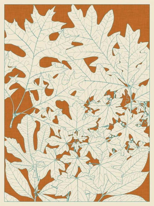 Image Only
