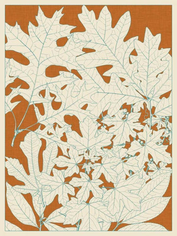 Leaves from Nature II White Modern Wood Framed Art Print with Double Matting by Vision Studio