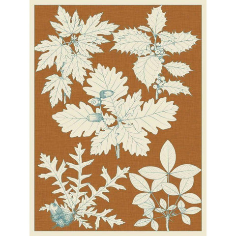 Leaves from Nature IV White Modern Wood Framed Art Print by Vision Studio