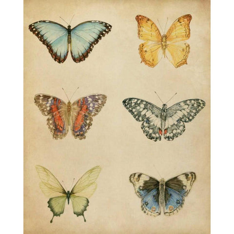 Butterfly Varietal I Gold Ornate Wood Framed Art Print with Double Matting by Meagher, Megan