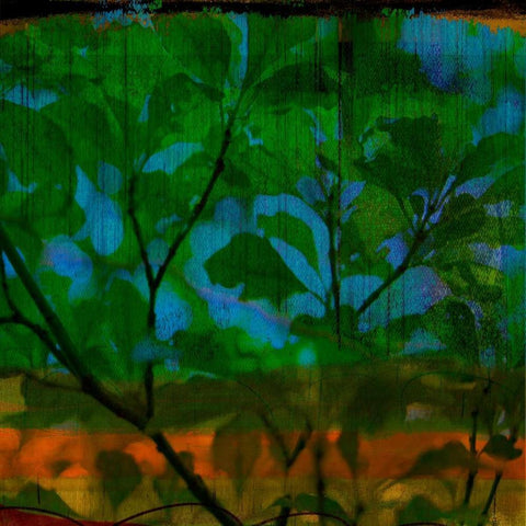 Abstract Leaf Study V White Modern Wood Framed Art Print with Double Matting by Jasper, Sisa