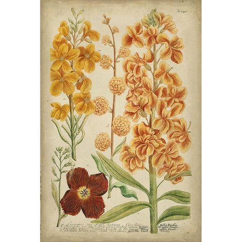 Weinmann Tropical Floral I Black Modern Wood Framed Art Print with Double Matting by Weinmann