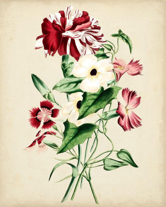 Image Only