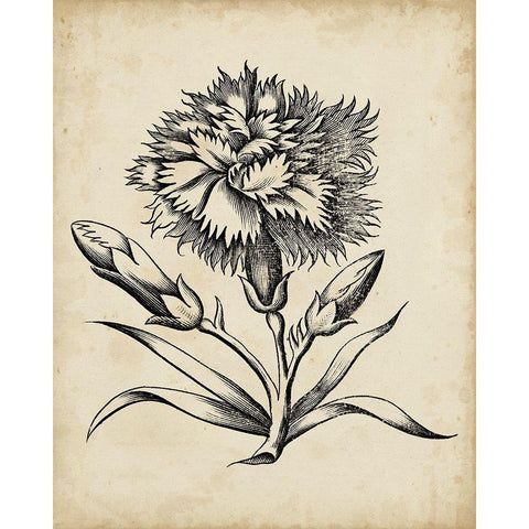 Distinguished Floral III White Modern Wood Framed Art Print by Vision Studio