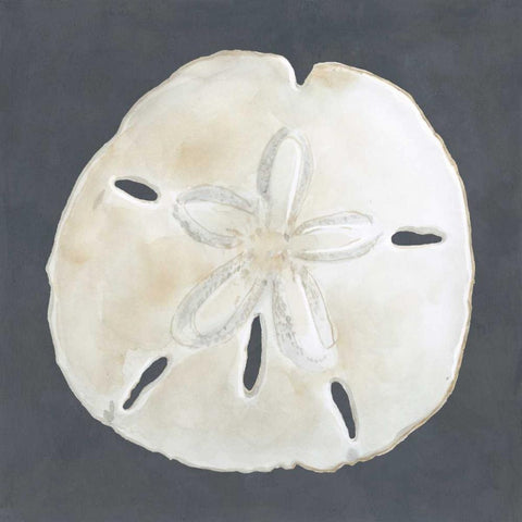 Shell on Slate II White Modern Wood Framed Art Print by Meagher, Megan