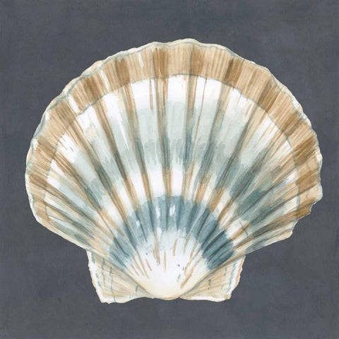 Shell on Slate III White Modern Wood Framed Art Print by Meagher, Megan