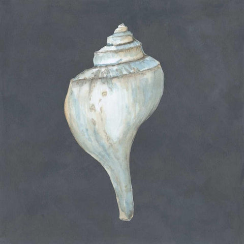 Shell on Slate IV White Modern Wood Framed Art Print with Double Matting by Meagher, Megan