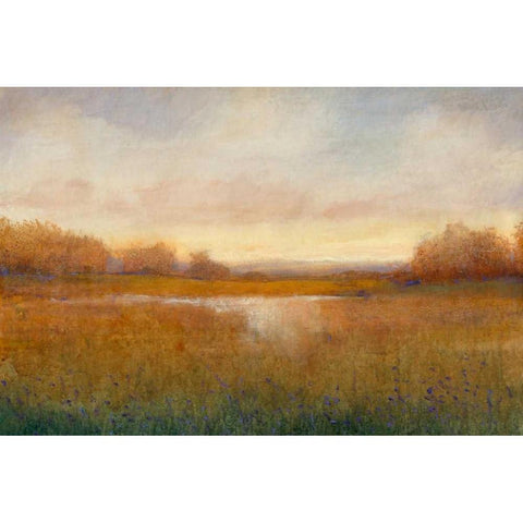 Golden Hour II White Modern Wood Framed Art Print by OToole, Tim