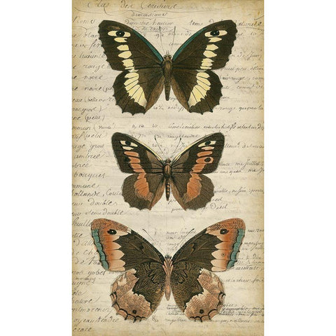 Butterfly Script I White Modern Wood Framed Art Print by Vision Studio